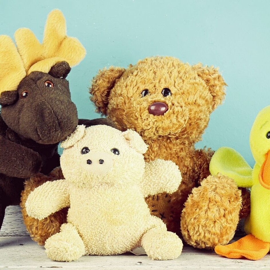 Stuffed Animal Sleepover - logo